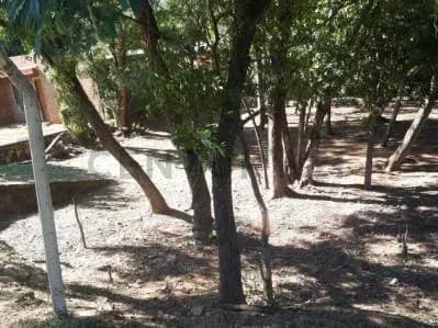 Terreno de 450m² à Venda em San Bernardino - Image 3
