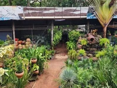 Terreno de 1,000m² en Venta en San Miguel, Areguá - Image 19