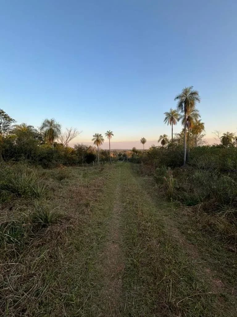 360m² Lot for Sale in San Bernardino
