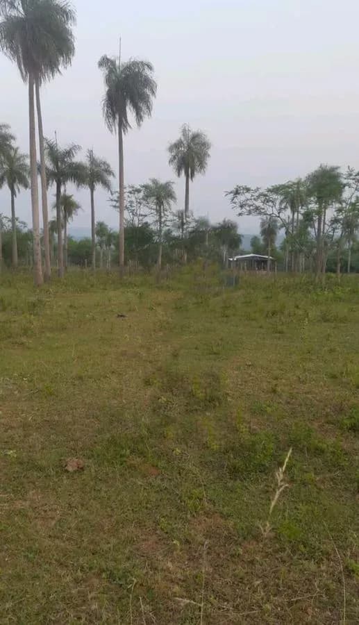 Terreno de 2,160m² en Venta en San Bernardino - Image 3
