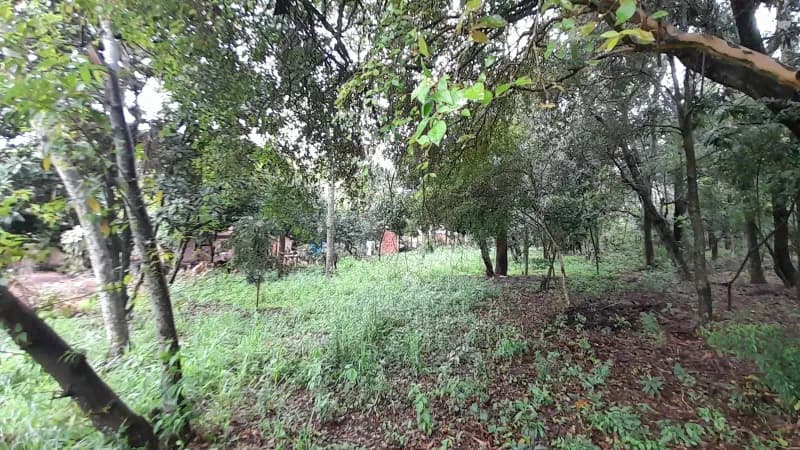 Terreno de 1m² en Venta en Corazón de Jesús, San Bernardino - Image 4