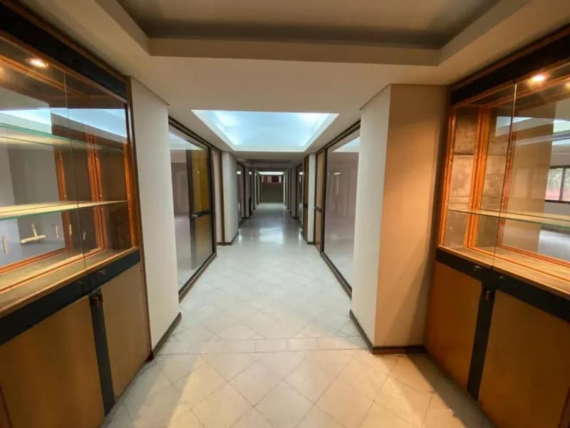 Loja de 4,190m² à Venda em Virgen del Huerto, Asunción - Image 4