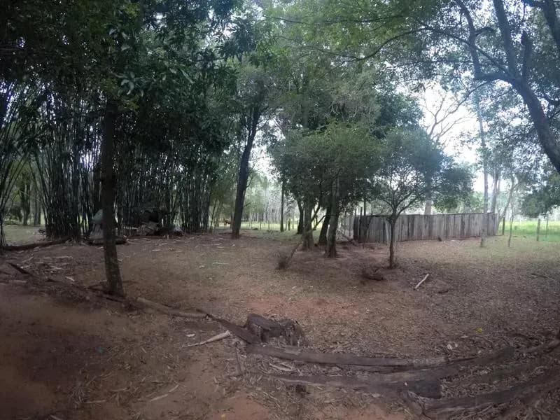 Terreno de 110,000m² en Venta en Caacupé - Image 10