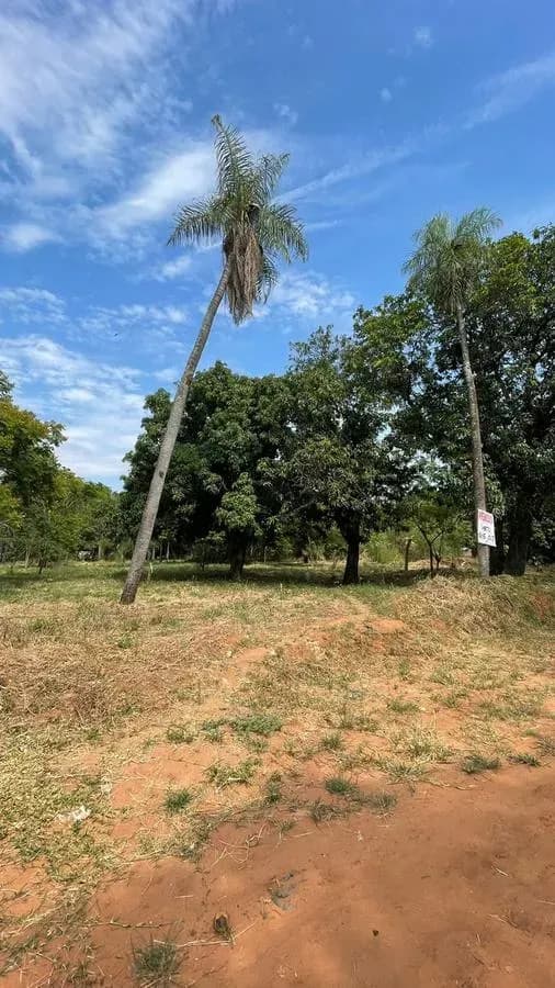 Terreno en Venta en Yka´a, Luque - Image 3