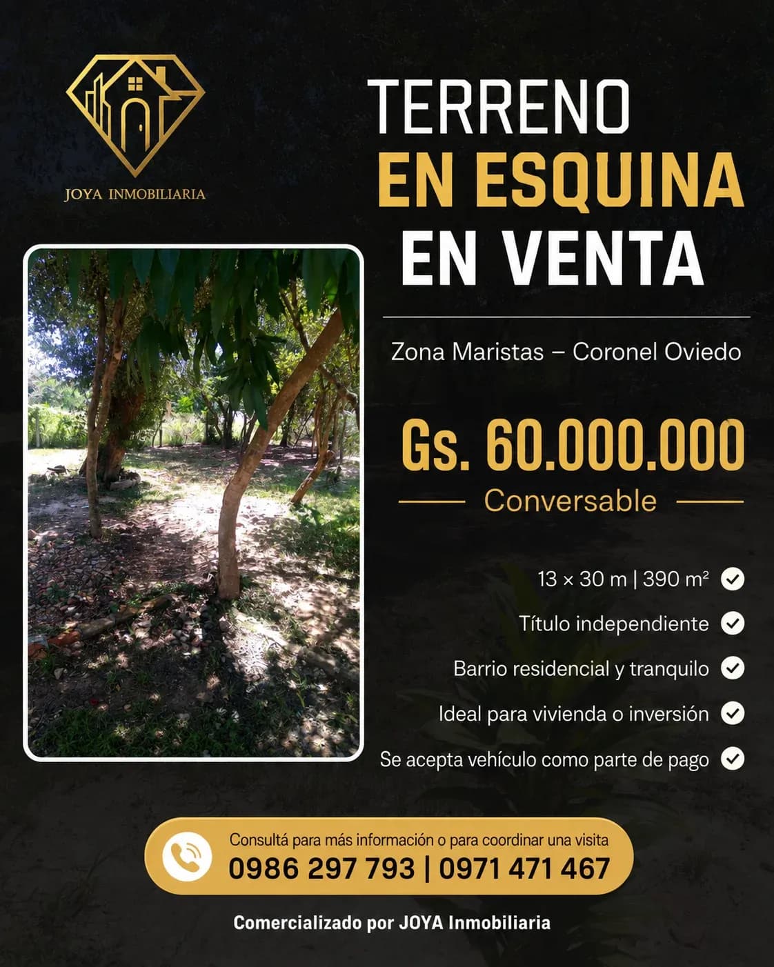 Terreno de 390m² en Venta en Calle Marista, Coronel Oviedo