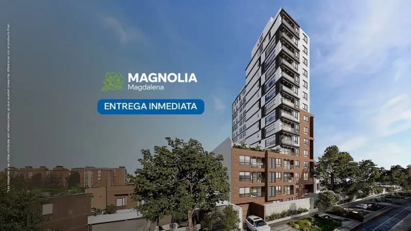 Magnolia