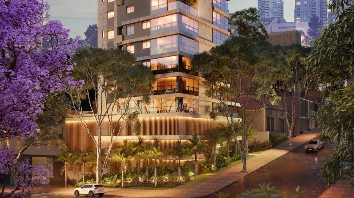 Aster Lourdes