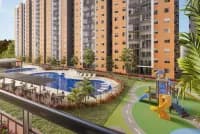 Novus Florida