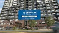 Cedro 33